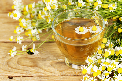 cup of chamomile tea surrounded by chamomile flowers