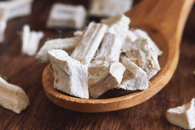pieces of marshmallow root on a wooden spoon