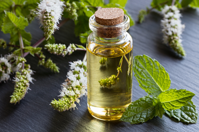 vial of peppermint oil surrounded by peppermint leaves